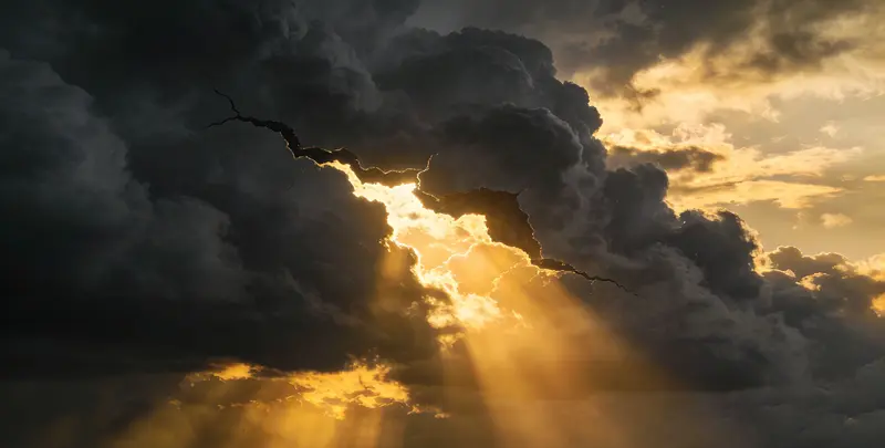 烟台肺癌13基因突变检测（组织）图片1