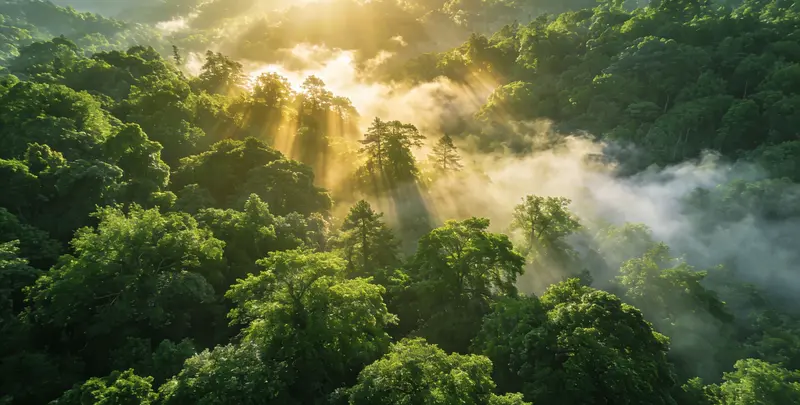 烟台肺癌8基因突变检测（组织）图片1